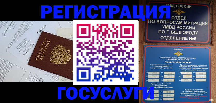временная прописка в Палласовке